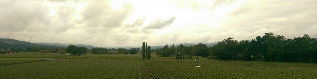 Wine tasting in Napa - panorama 2 (from Opus One)