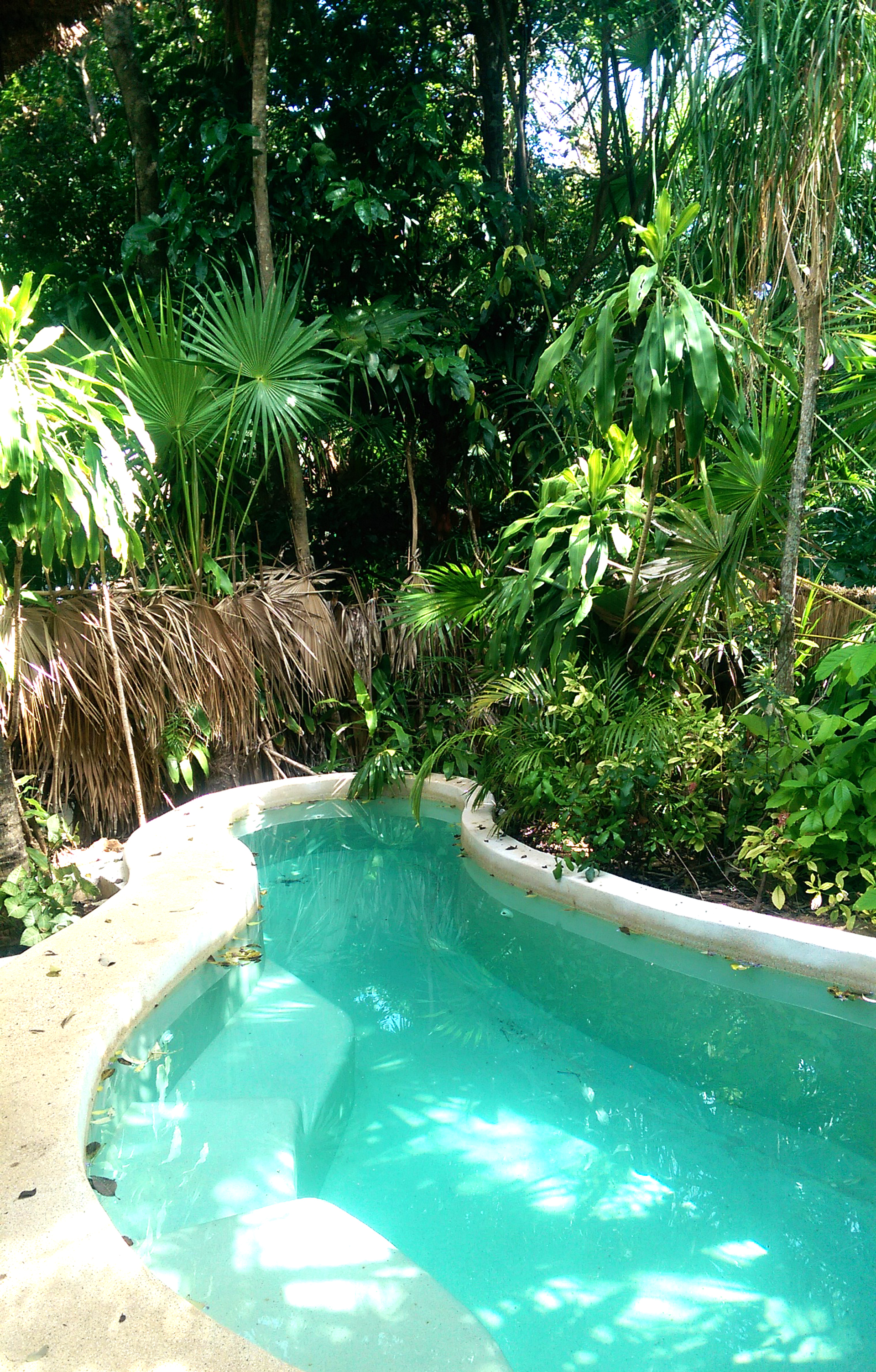 The-Viceroy-Riviera-Maya-plunge-pool