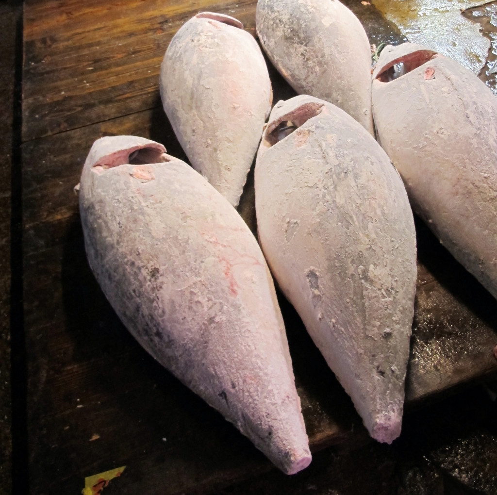 Cultural sight-tsukiji-tuna