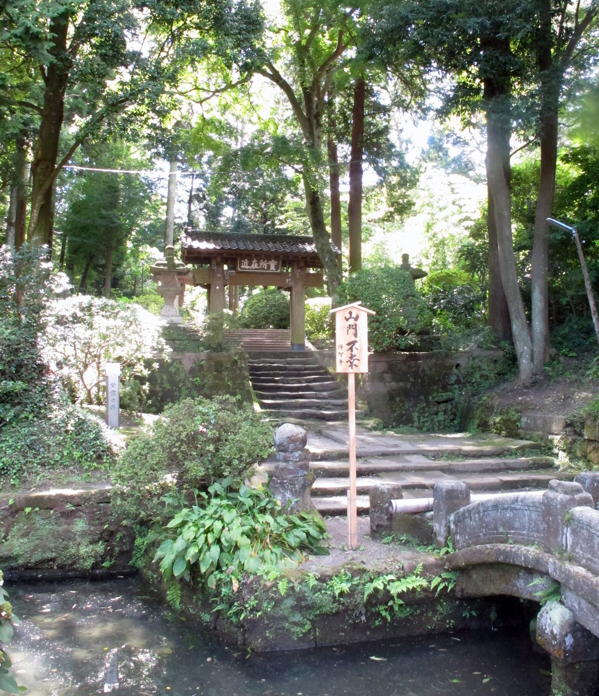 Kamakura-nature's-path